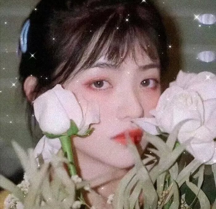 爱与梦飞翔